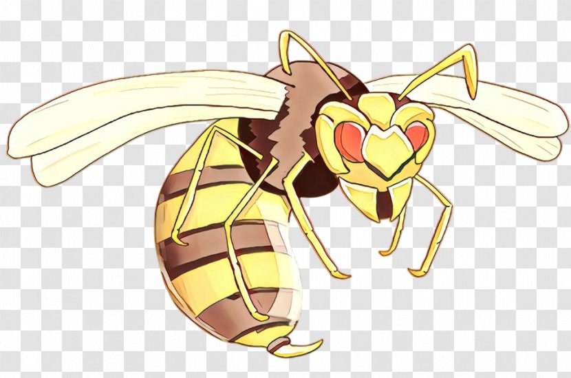 Bee Cartoon - Membranewinged Insect - Carpenter Pollinator Transparent PNG