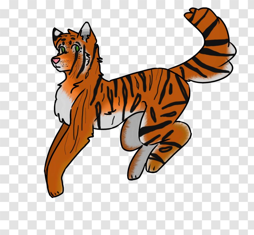 Whiskers Tiger Cat Felidae Red Fox - Vertebrate Transparent PNG