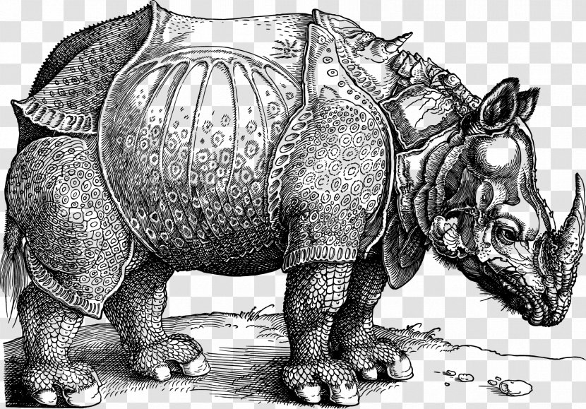 Dxfcrers Rhinoceros National Gallery Of Art British Museum Printmaking - Artcom - Vector Rhino Transparent PNG