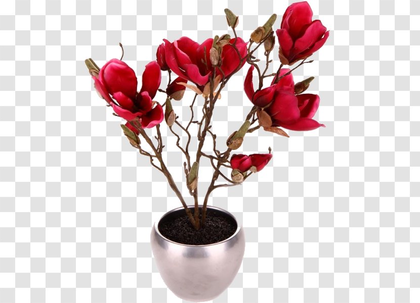 Magnolia Flowerpot Crock Plant - Family - Flower Transparent PNG