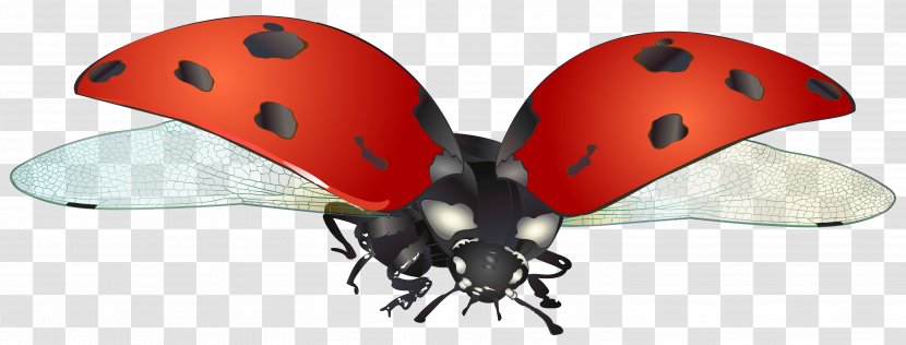 Ladybird Clip Art - Personal Protective Equipment - Flying Ladybug Image Transparent PNG