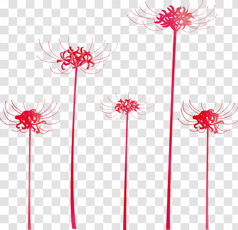 Pink Flower Plant Pedicel Line Transparent PNG