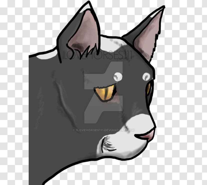 Whiskers Dog Cat Snout Clip Art - Mammal Transparent PNG