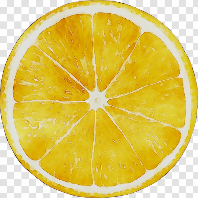 Lemon Yellow Citric Acid Citrus - Fruit - Lemonlime Transparent PNG