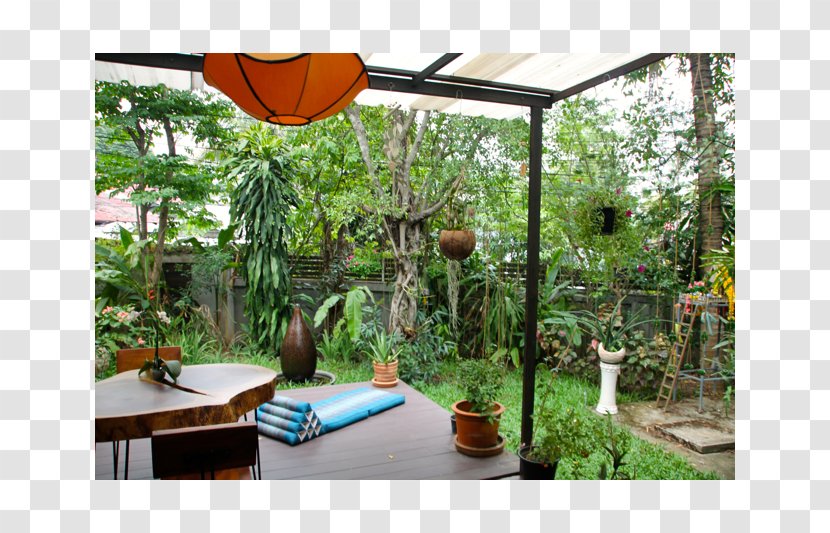 Window Majorelle Blue Garden Backyard Tree - Thailand Landscape Transparent PNG