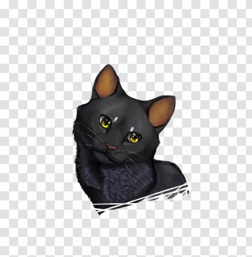 Korat Bombay Cat Domestic Short-haired Whiskers Snout - Happy Transparent PNG