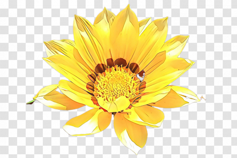 Sunflower Transparent PNG