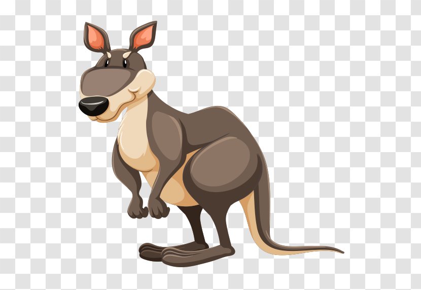 The Red Kangaroo - Dog Like Mammal Transparent PNG