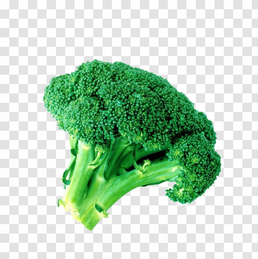 Broccoli Sulforaphane Vegetable - Grass - A Transparent PNG