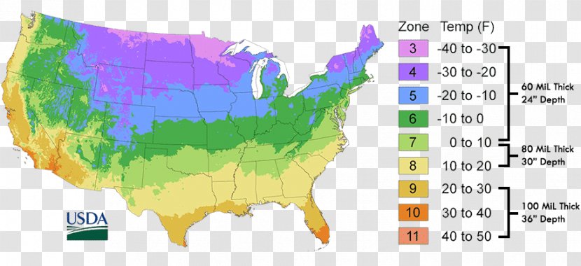 United States Of America Hardiness Zone Map Department Agriculture - Temperature Zones Transparent PNG