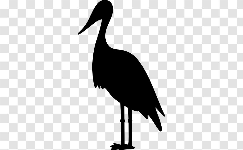 Crane White Stork Clip Art - Fauna Transparent PNG