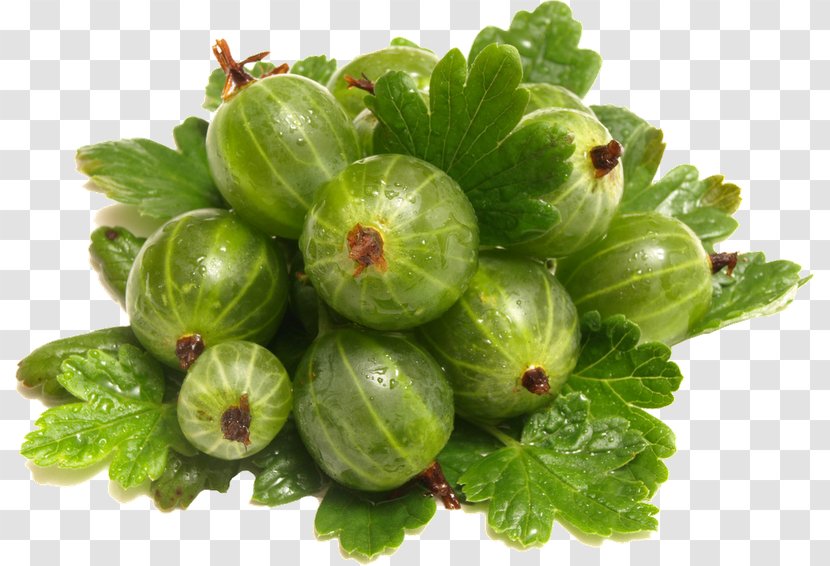 Gooseberry Fruit Melon Vegetable - Plant Transparent PNG