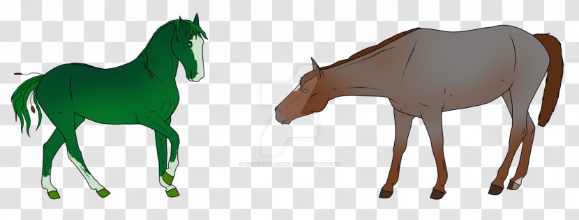 Mule Foal Colt Mustang Stallion - Gringo Transparent PNG