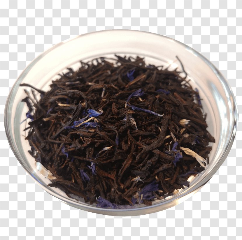 Grey Background - Plant - Hyson Darjeeling Tea Transparent PNG