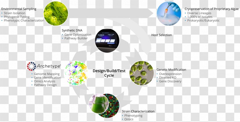 Algae Fuel ExxonMobil Synthetic Genomics Biofuel - Characterization Transparent PNG