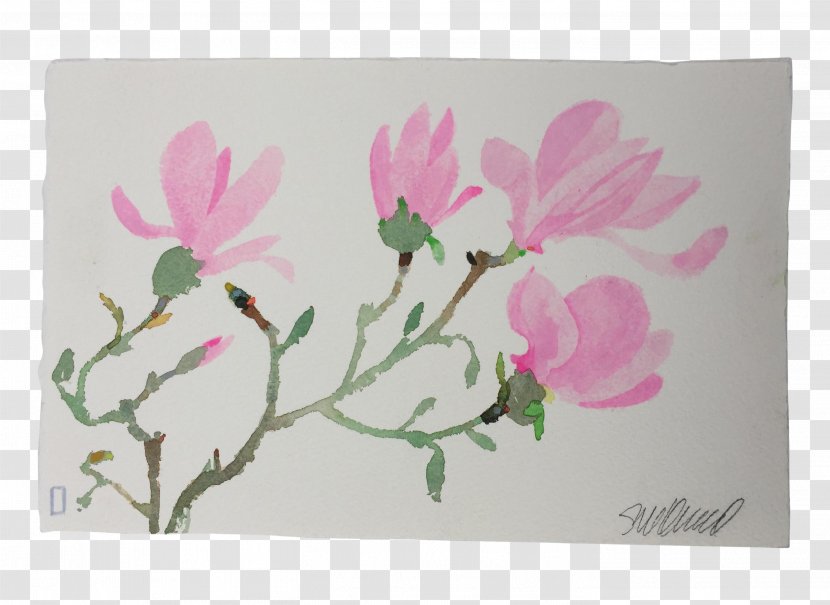 Flower Floral Design Petal Cherry Blossom - Watercolor Pink Magnolia Transparent PNG