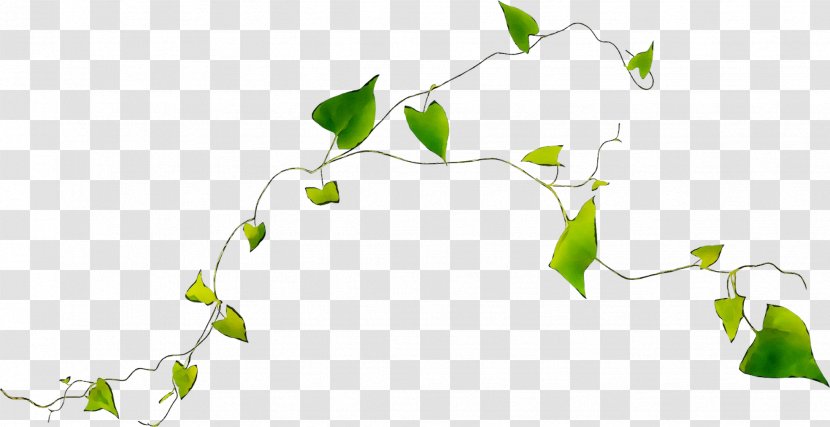 Twig Plant Stem Desktop Wallpaper Flower Leaf - Tree Transparent PNG