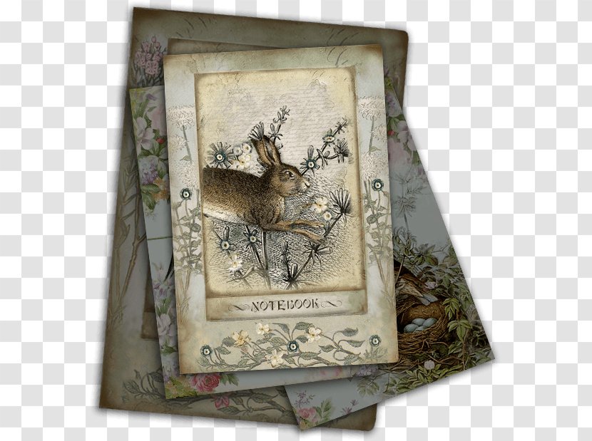 Hare Picture Frames - Frame - Miss Havisham Transparent PNG