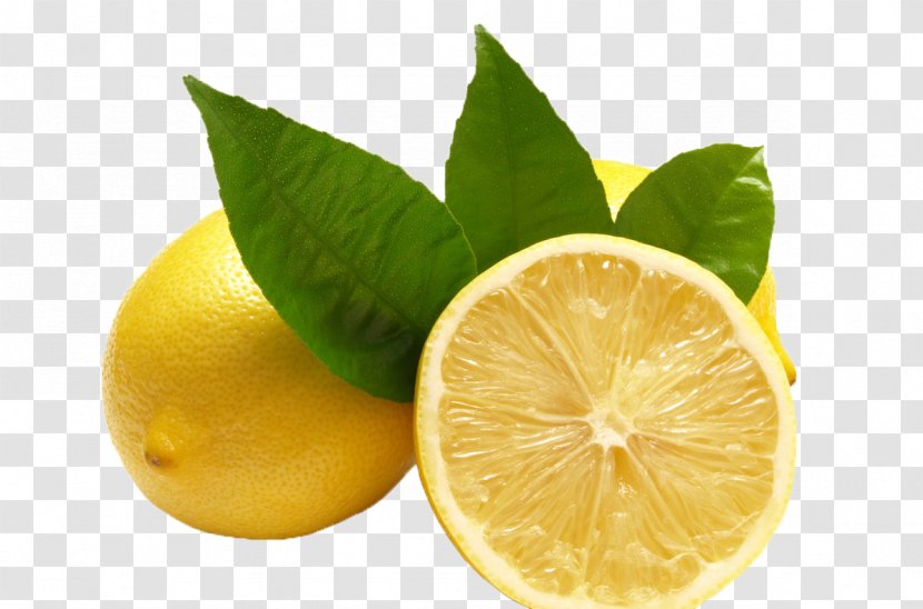 Lemonade Citric Acid Citron Meyer Lemon - Lime - Fresh Transparent PNG