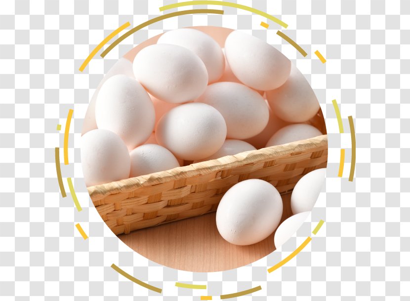 Egg White Daiei Salted Duck Shinkyo Bridge - Ingredient - Pudding Transparent PNG
