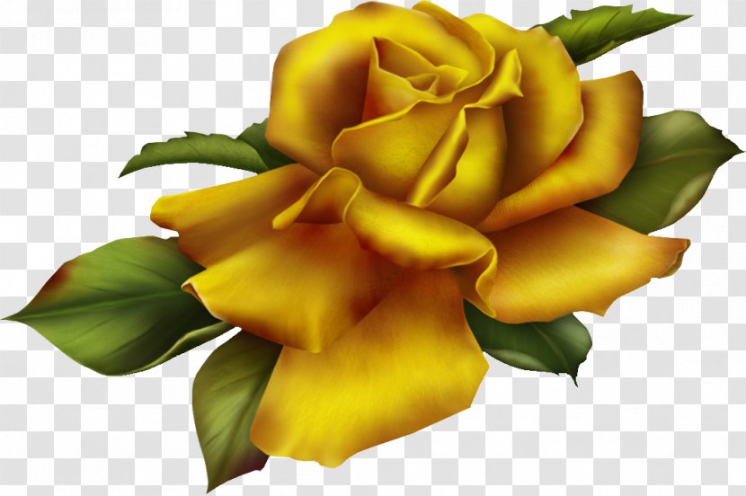 Garden Roses Golden Rose Clip Art - Megabyte - Gold Transparent PNG