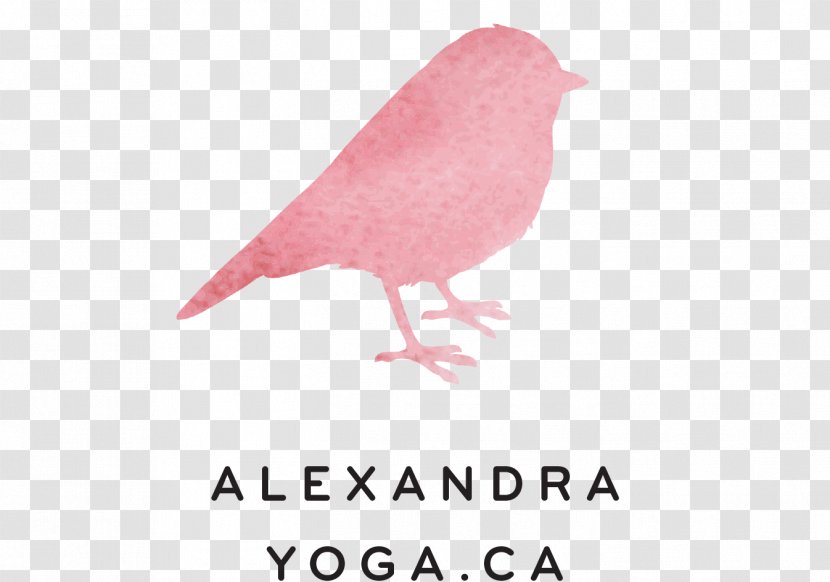 Alexandra Yoga Asana Vinyāsa Añjali Mudrā - Beak Transparent PNG