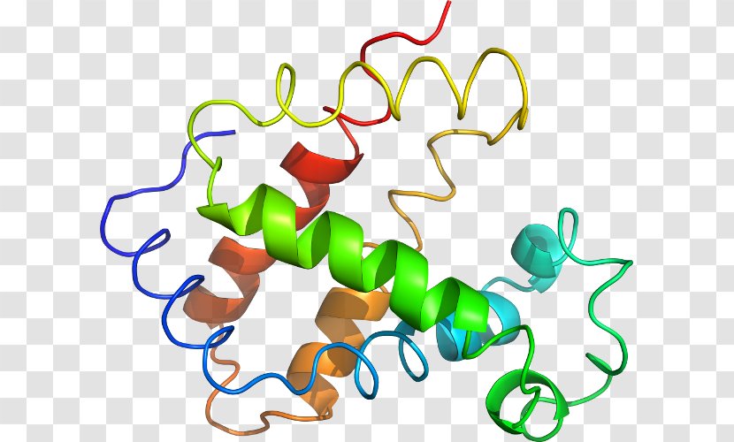 Clip Art Product Organism Line - Artwork - Deoxygenated Hemoglobin Molecule Transparent PNG