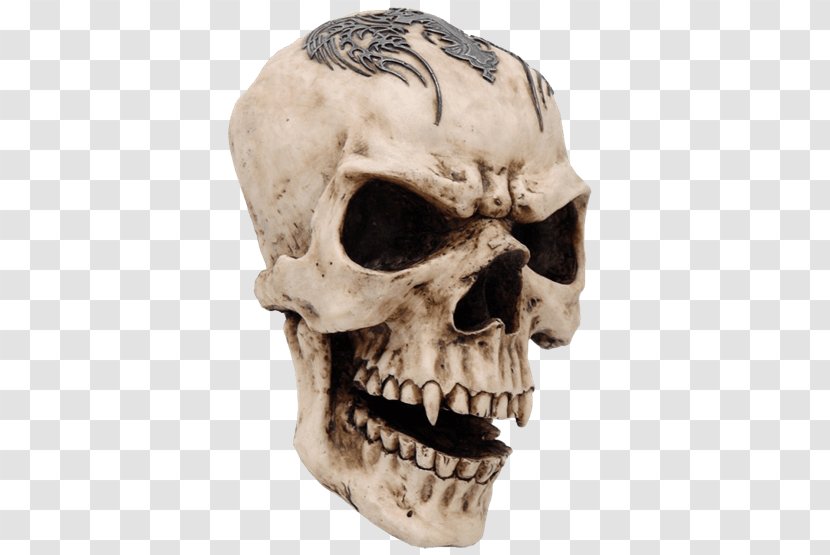 Human Skull Symbolism Skeleton Vampire - Drawing Transparent PNG