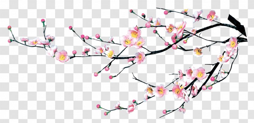 Cherry Blossom Plum - Beak - Ornament Flower Branch Transparent PNG