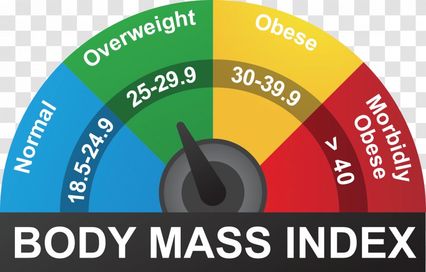 Body Mass Index Human Weight Adipose Tissue Stock Photography And Height Percentile - Health - Physical Fitness Transparent PNG