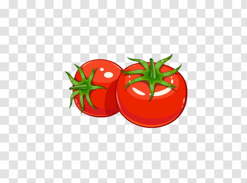 Tomato Juice Pizza Soup - Fruit - Hand Drawn Transparent PNG