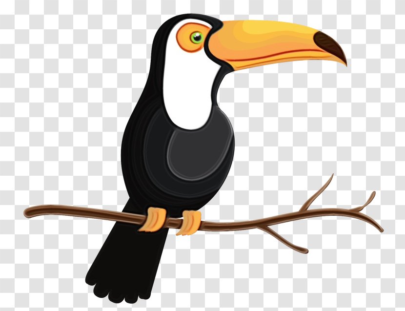 Toucan Bird Illustration Beak Clip Art - Animal - Stock Photography Transparent PNG