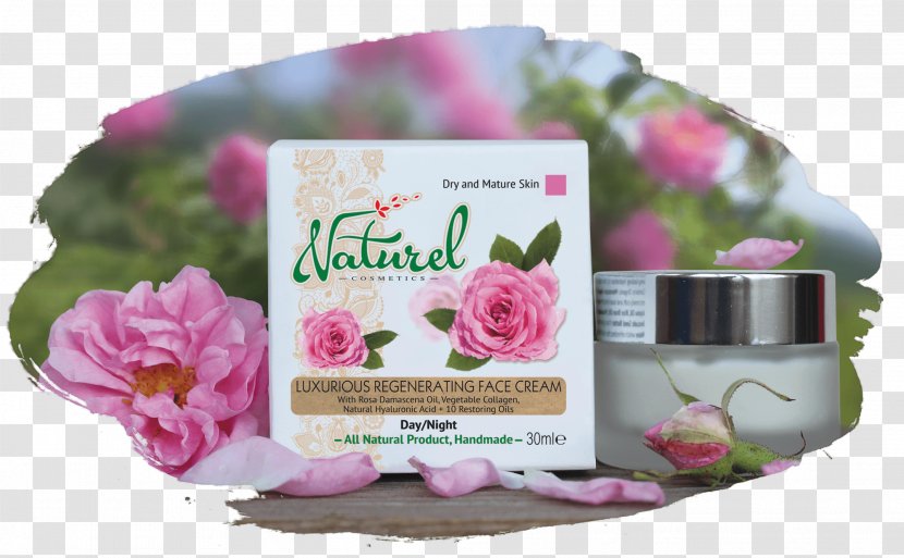 Cosmetics Rose Oil Wrinkle Cream - Lavender - Natural Ingredients Transparent PNG