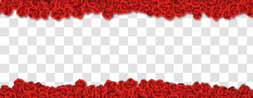 Beach Rose Download Flower - Text - Border Material Transparent PNG
