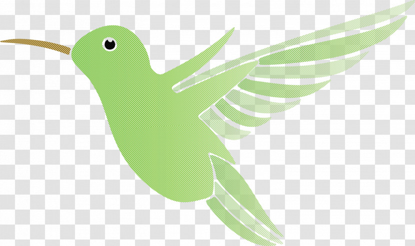 Hummingbird Transparent PNG