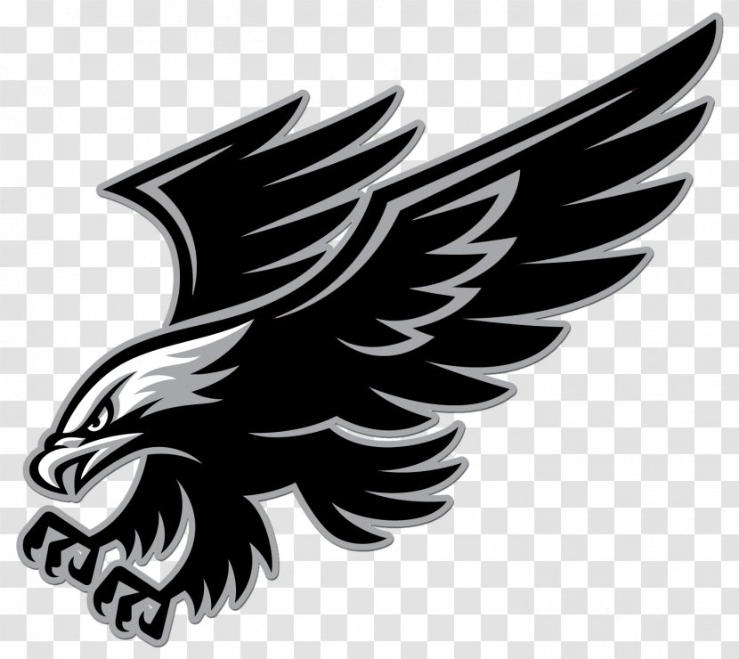 Richland County School District Two Middle National Secondary - Bird - Hawk Transparent PNG