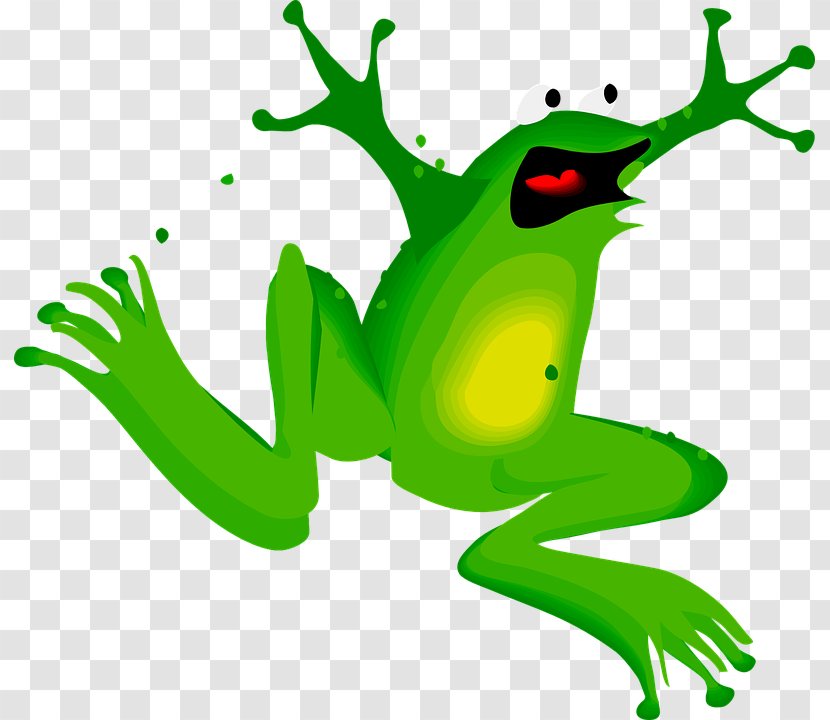 Frog Amphibian Clip Art Transparent PNG