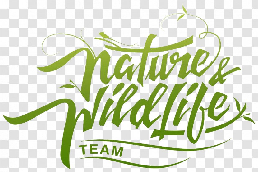 Avondae Technologies Pvt Ltd Nature Wildlife - Flower - Web Design Transparent PNG
