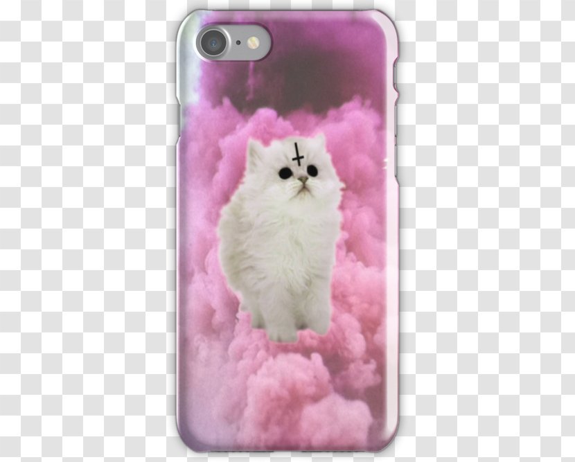Kitten Sphynx Cat Pastel Puppy Desktop Wallpaper - Small To Medium Sized Cats Transparent PNG