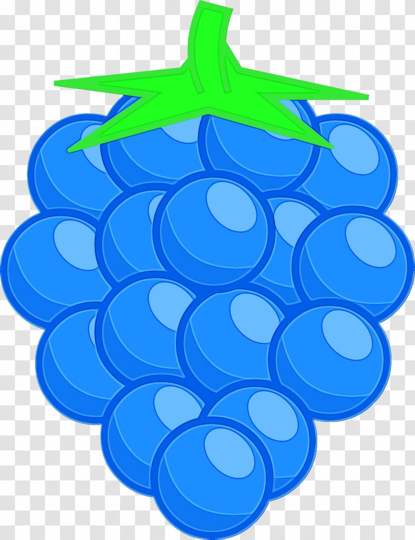 Water Circle - Berries - Bottle Plant Transparent PNG