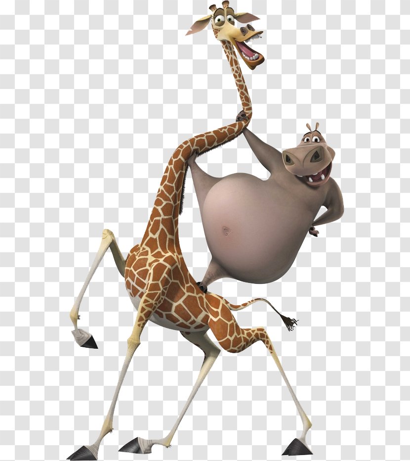 Gloria Melman Alex Giraffe Madagascar Transparent PNG
