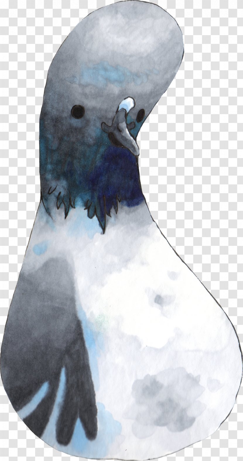 Beak Neck - Bird Transparent PNG