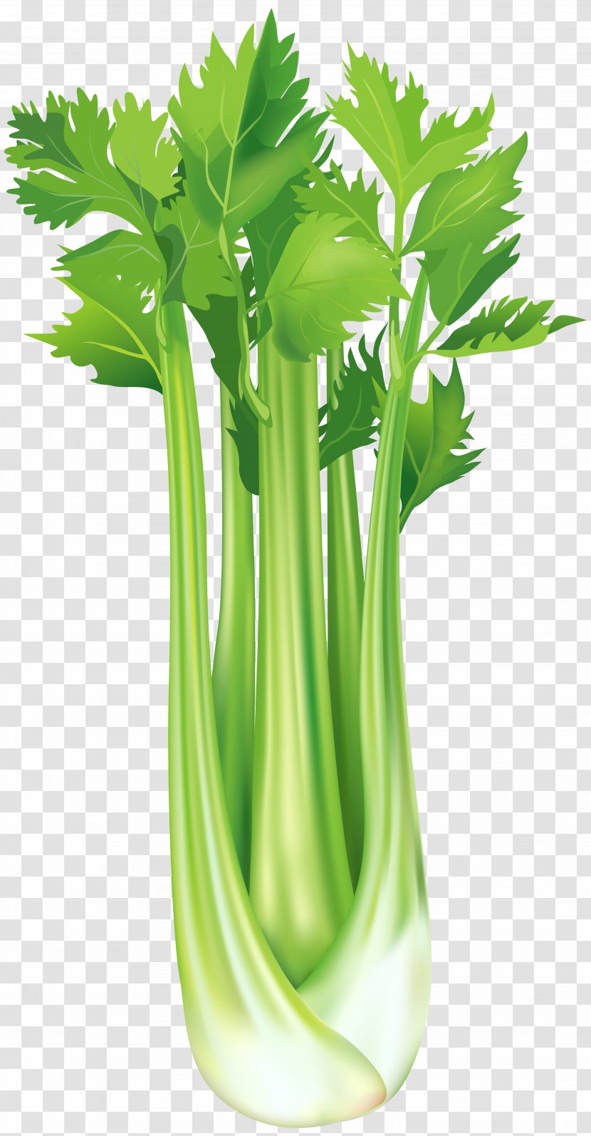 Celeriac Vegetable Clip Art - Flowerpot - Celery Free Image Transparent PNG