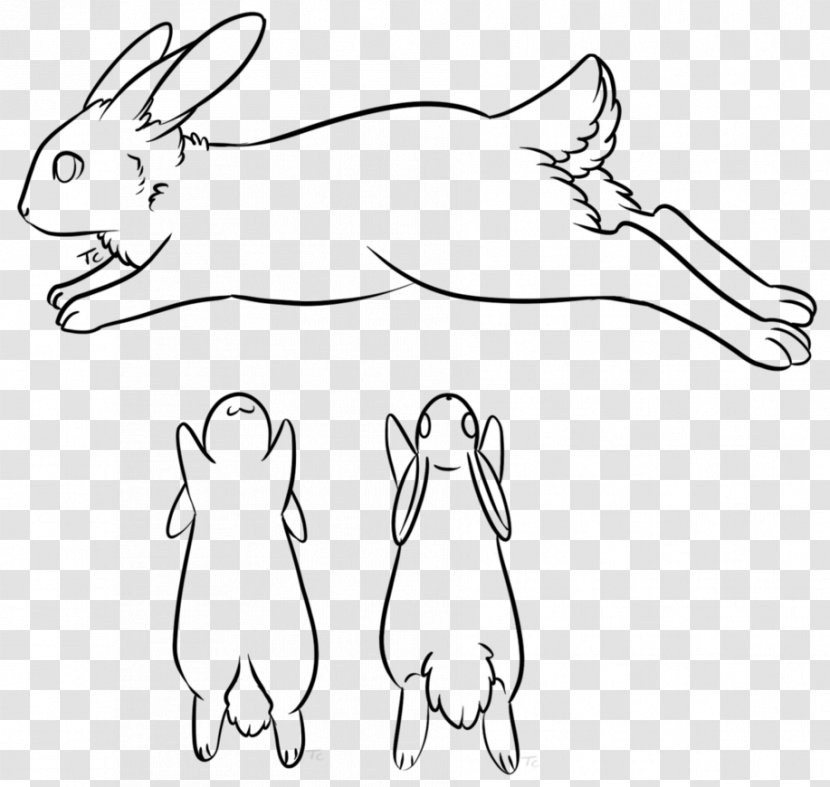 Domestic Rabbit Hare Drawing Whiskers - Heart - Based Line Transparent PNG