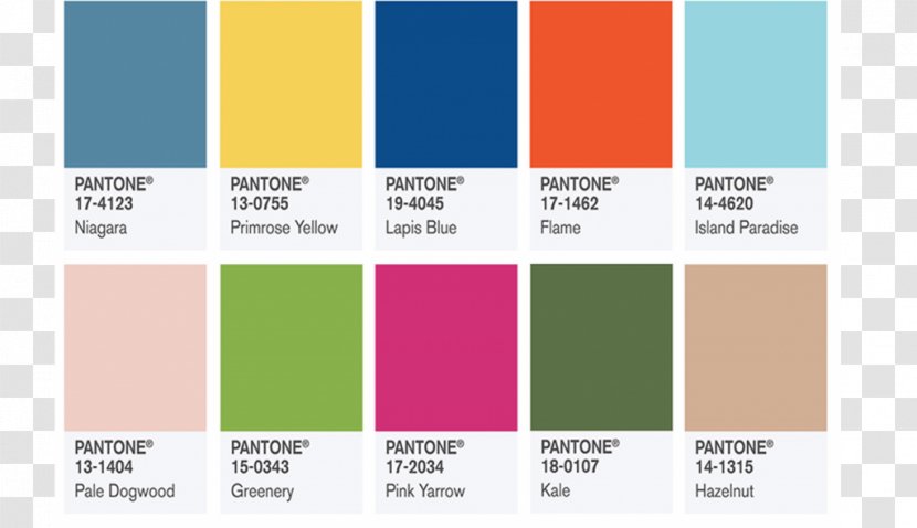 Pantone New York Fashion Week City Color Palette - 2017 - Trend Colors Transparent PNG