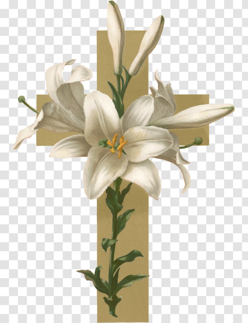 Easter Lily Christian Cross Flower Funeral Clip Art - Floral Design Transparent PNG