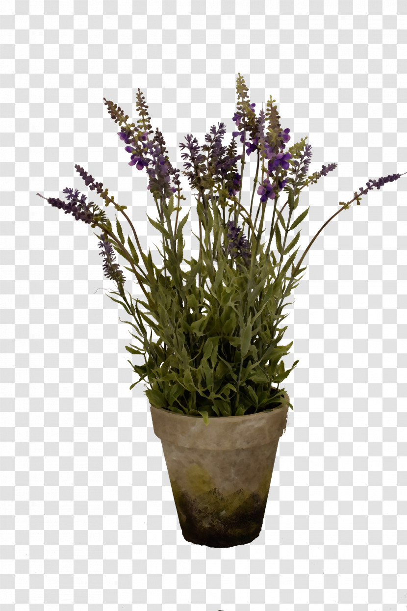 Lavender Transparent PNG