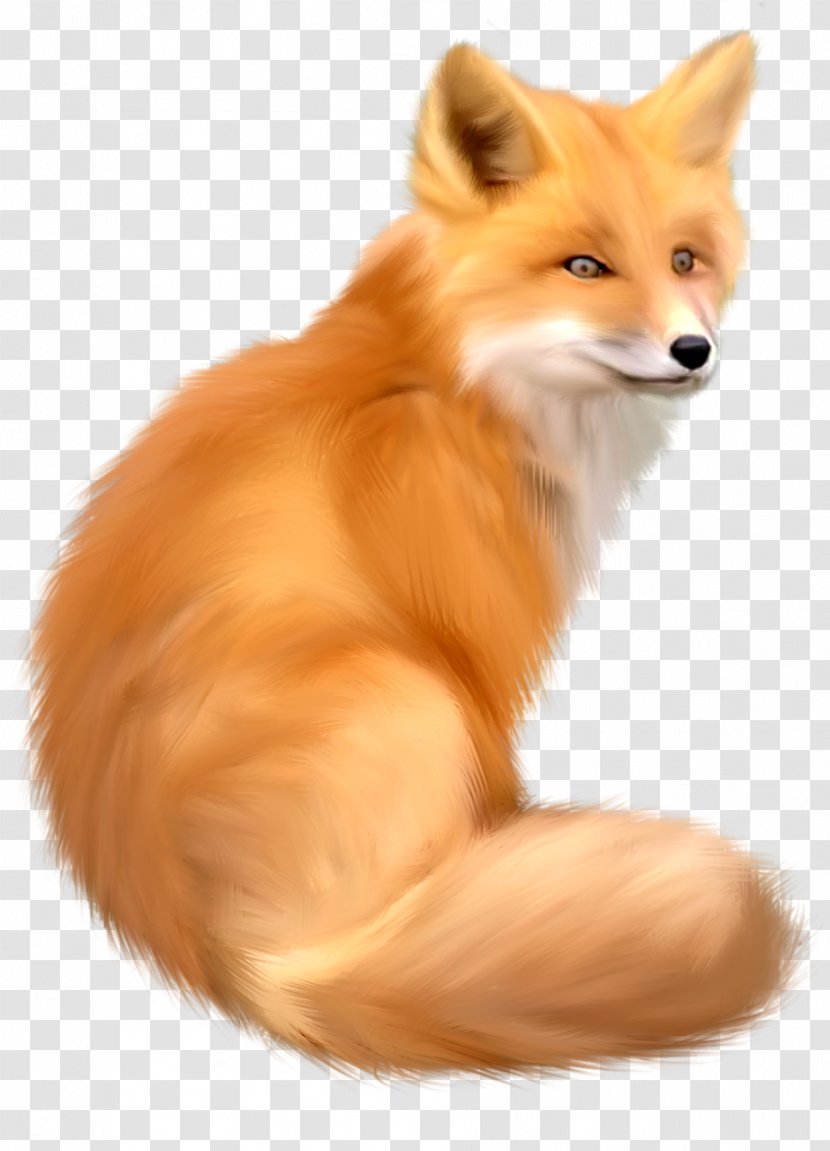 Red Fox Clip Art - Pomeranian Transparent PNG