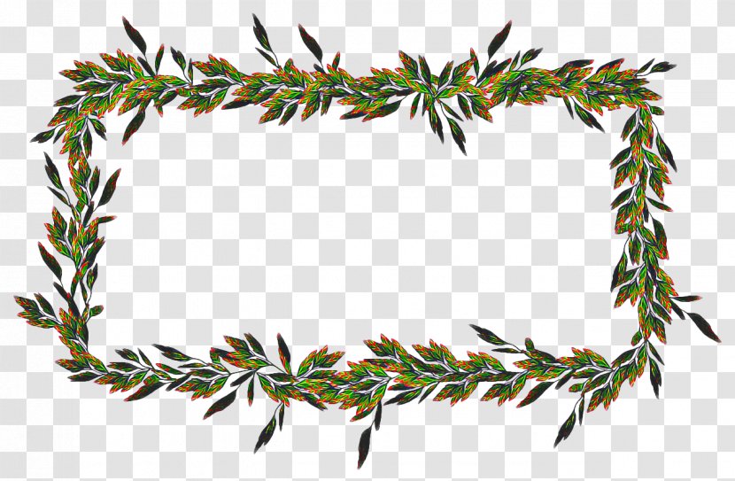 Family Tree Background - Pine - Evergreen Cypress Transparent PNG