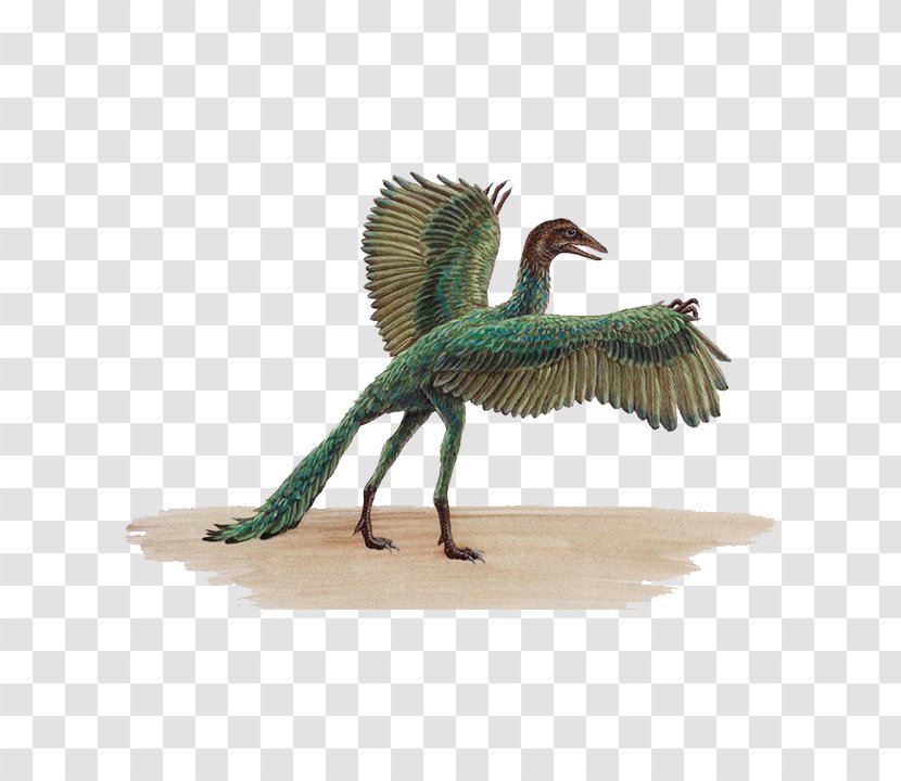 ARK: Survival Evolved Archaeopteryx Bird Pterosaurs Velociraptor - Winged Dinosaur Transparent PNG